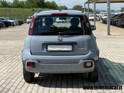 Fiat Panda Cross 1.0 firefly hybrid Cross s&s 70cv 5p.ti (7)