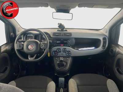 Fiat Panda 1.0 firefly hybrid s&s 70cv 5p.ti (10)