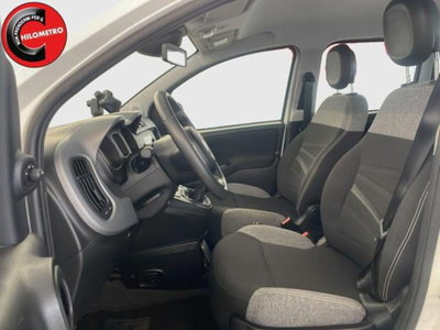 Fiat Panda 1.0 firefly hybrid s&s 70cv 5p.ti (8)