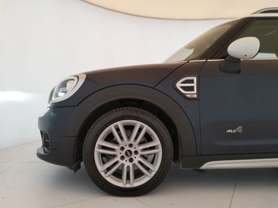 MINI Mini Countryman 2.0 Cooper D Business Countryman ALL4 Automatica (20)
