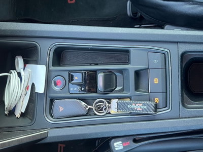 Cupra Formentor 2.0 tdi Tribe Edition 150cv dsg (17)
