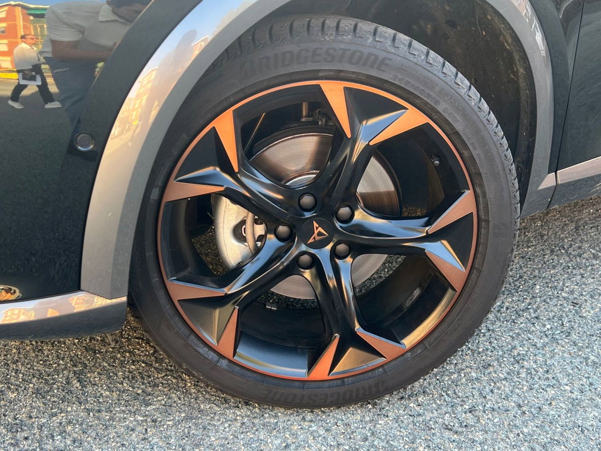 Cupra Formentor 2.0 tdi Tribe Edition 150cv dsg (8)
