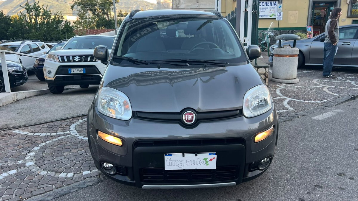 Fiat Panda 1.0 FireFly S&S Hybrid City Life (2)