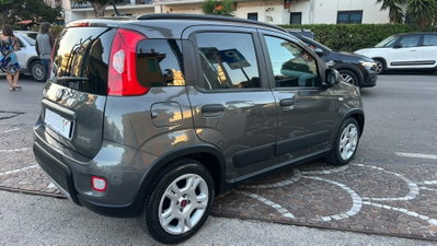 Fiat Panda 1.0 FireFly S&S Hybrid City Life (4)