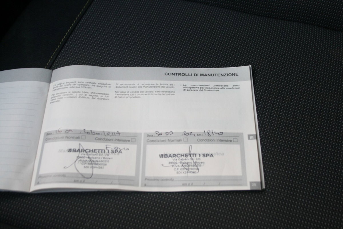 Citroen C3 BlueHDi 100 S&S Shine (15)