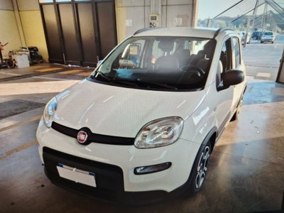 Fiat Panda 1.0 FireFly S&S Hybrid City Life usata