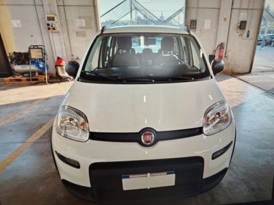Fiat Panda 1.0 FireFly S&S Hybrid City Life (2)