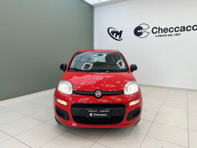 Fiat Panda 1.2 Pop (2)