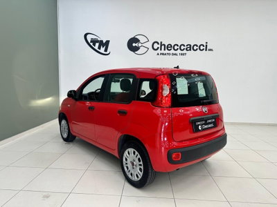 Fiat Panda 1.2 Pop (4)