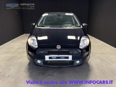Fiat Punto 1.3 MJT II S&S 95 CV 5 porte Street (14)