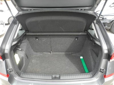 Skoda Kamiq 1.0 TSI 110 CV DSG Ambition (14)
