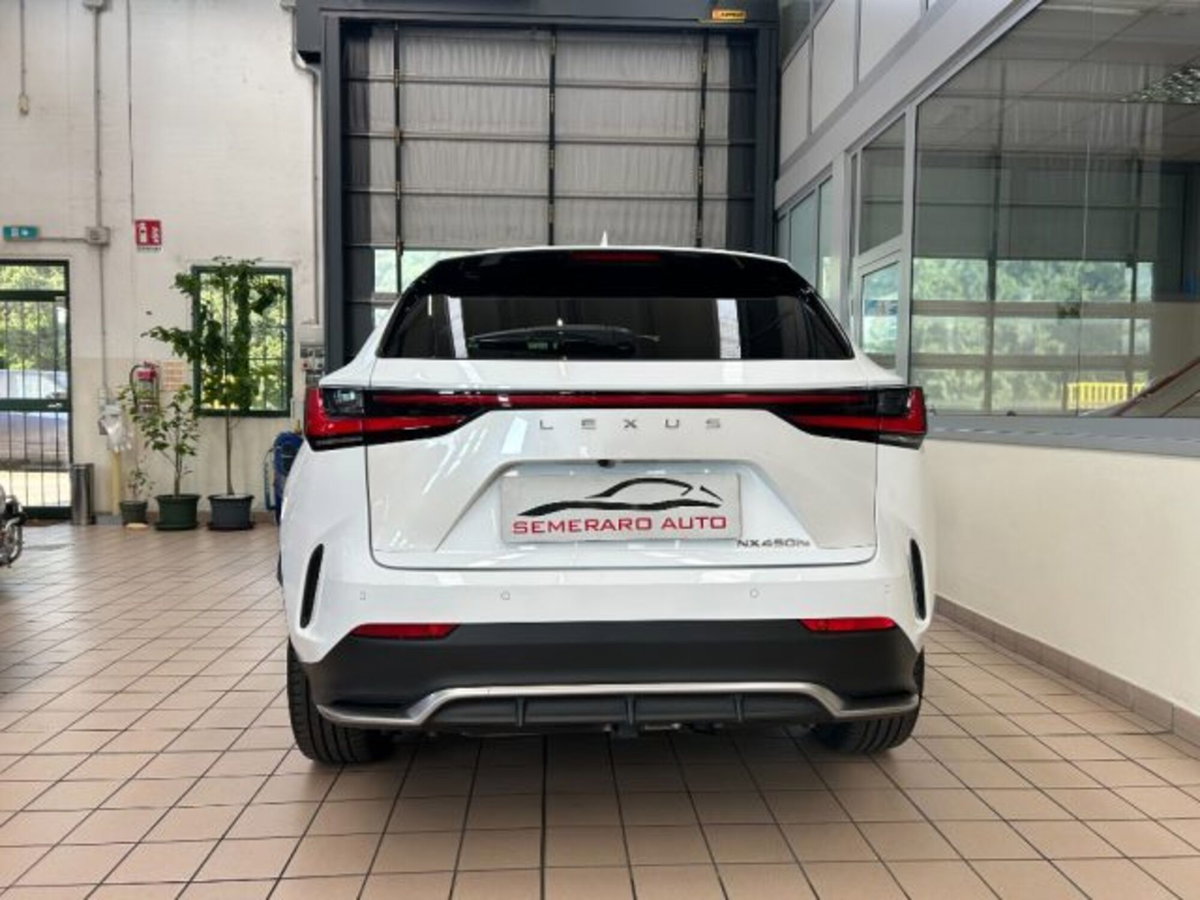 Lexus NX Hybrid 4WD F-Sport (13)