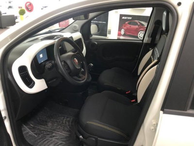 Fiat Pandina 1.0 firefly hybrid Icon s&s 65cv (14)