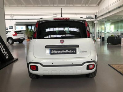 Fiat Pandina 1.0 firefly hybrid Icon s&s 65cv (4)