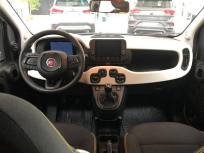 Fiat Pandina 1.0 firefly hybrid Icon s&s 65cv (6)