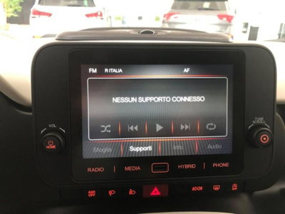 Fiat Pandina 1.0 firefly hybrid Icon s&s 65cv (9)