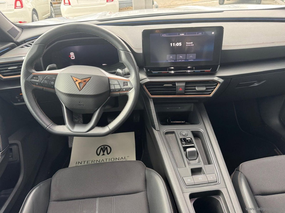 Cupra Formentor Formentor 2.0 tdi 4drive 150cv dsg (11)