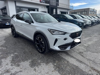 Cupra Formentor Formentor 2.0 tdi 4drive 150cv dsg (3)