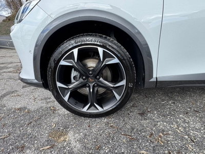 Cupra Formentor Formentor 2.0 tdi 4drive 150cv dsg (8)