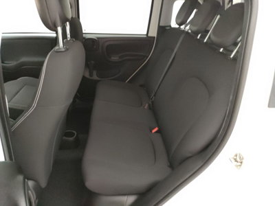 Fiat Panda 1.0 firefly hybrid s&s 70cv 5p.ti (8)