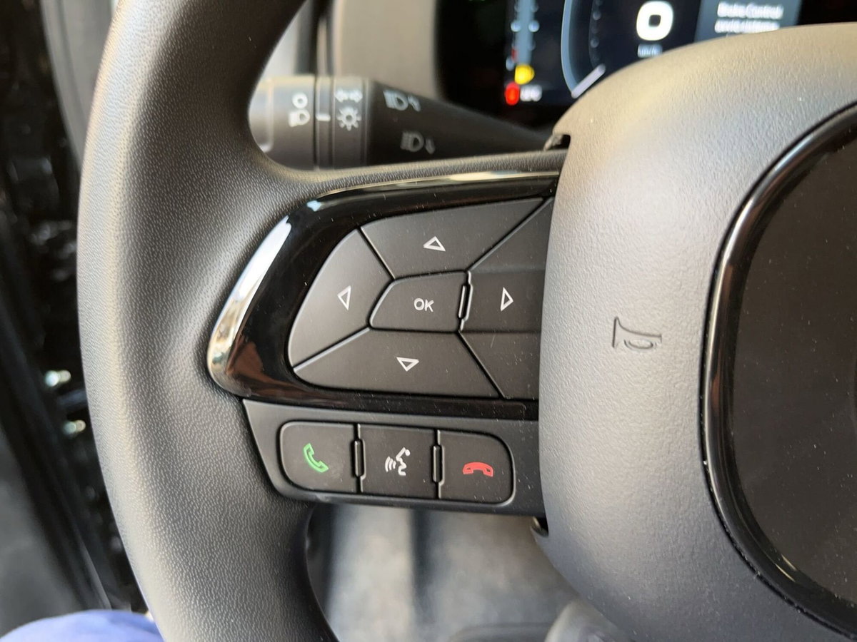 Fiat Pandina 1.0 firefly hybrid Icon s&s 65cv (17)