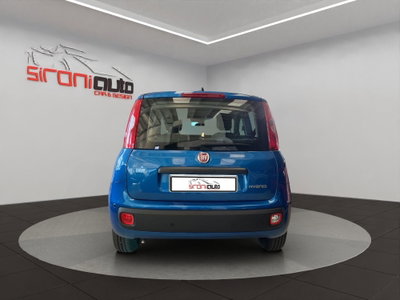 Fiat Pandina 1.0 firefly hybrid Icon s&s 65cv (5)