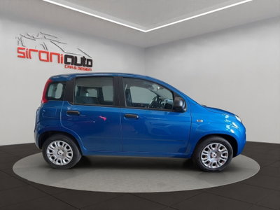 Fiat Pandina 1.0 firefly hybrid Icon s&s 65cv (8)