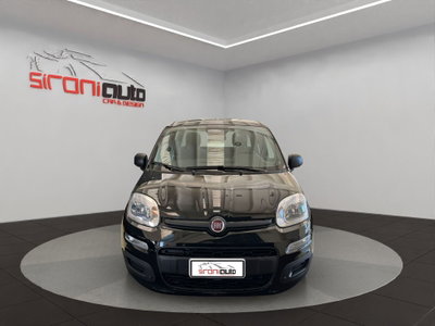 Fiat Pandina 1.0 firefly hybrid Icon s&s 65cv (2)