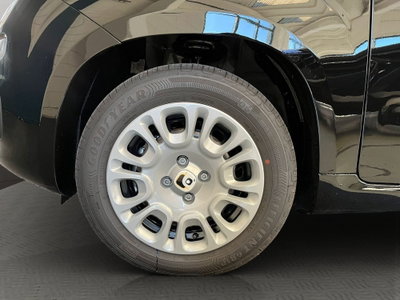 Fiat Pandina 1.0 firefly hybrid Icon s&s 65cv (4)