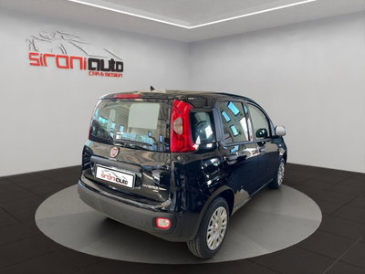 Fiat Pandina 1.0 firefly hybrid Icon s&s 65cv (7)