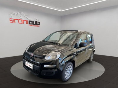 Fiat Pandina 1.0 firefly hybrid Icon s&s 65cv nuova