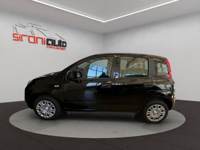 Fiat Pandina 1.0 firefly hybrid Icon s&s 65cv (3)