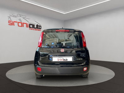 Fiat Pandina 1.0 firefly hybrid Icon s&s 65cv (5)