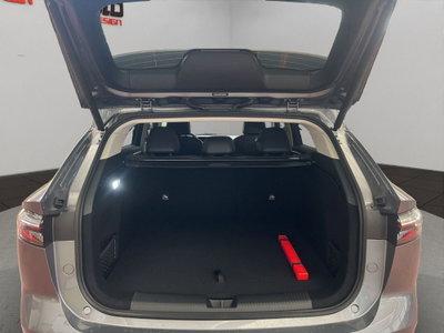 Mg HS 1.5 phev Luxury auto (7)