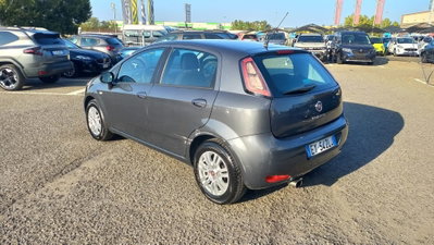 Fiat Punto 1.2 8V 5 porte Street (4)