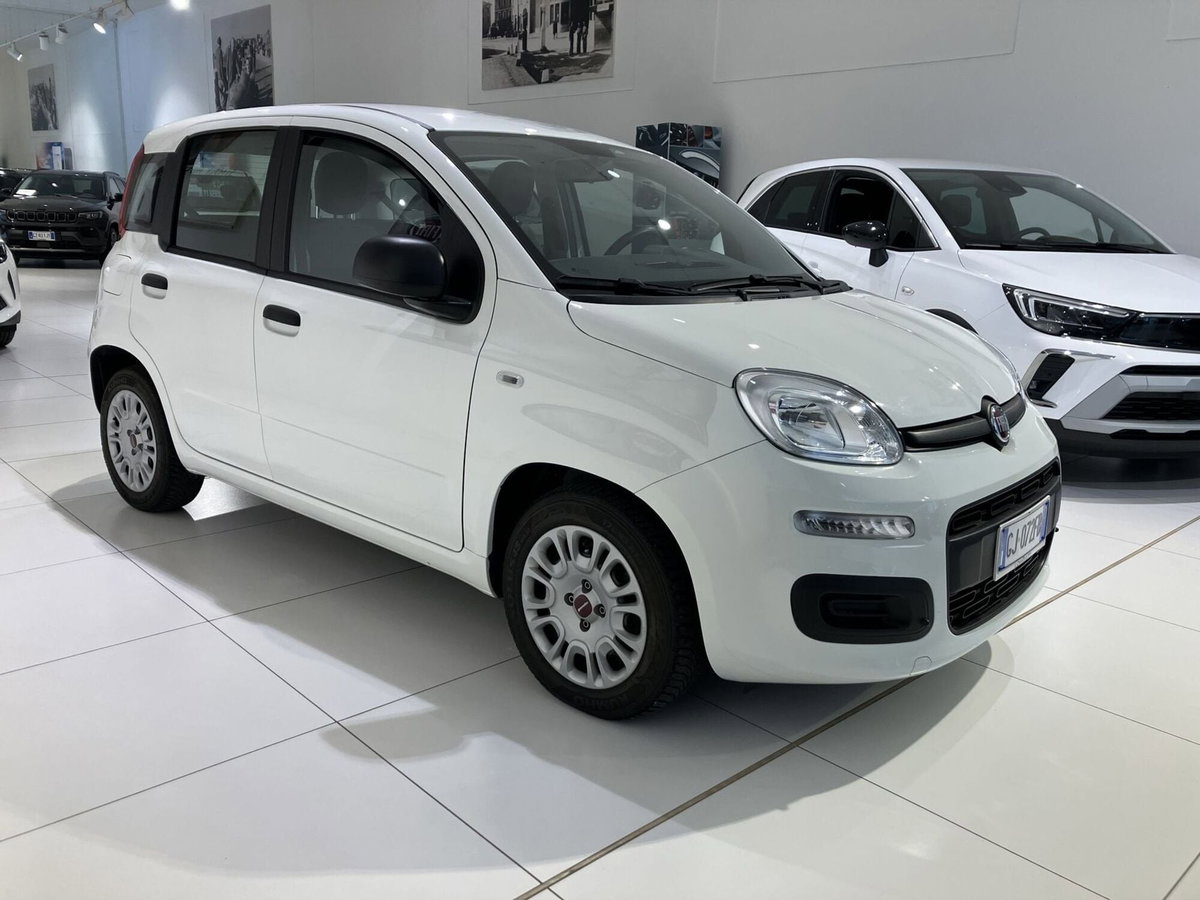 Fiat Panda 1.0 FireFly S&S Hybrid City Cross (3)