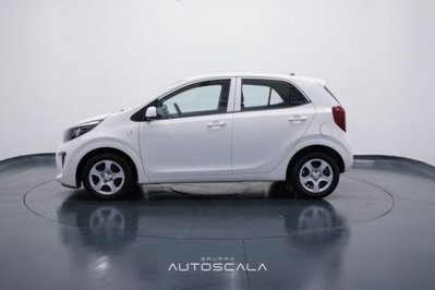Kia Picanto 1.0 12V 5 porte Active (3)