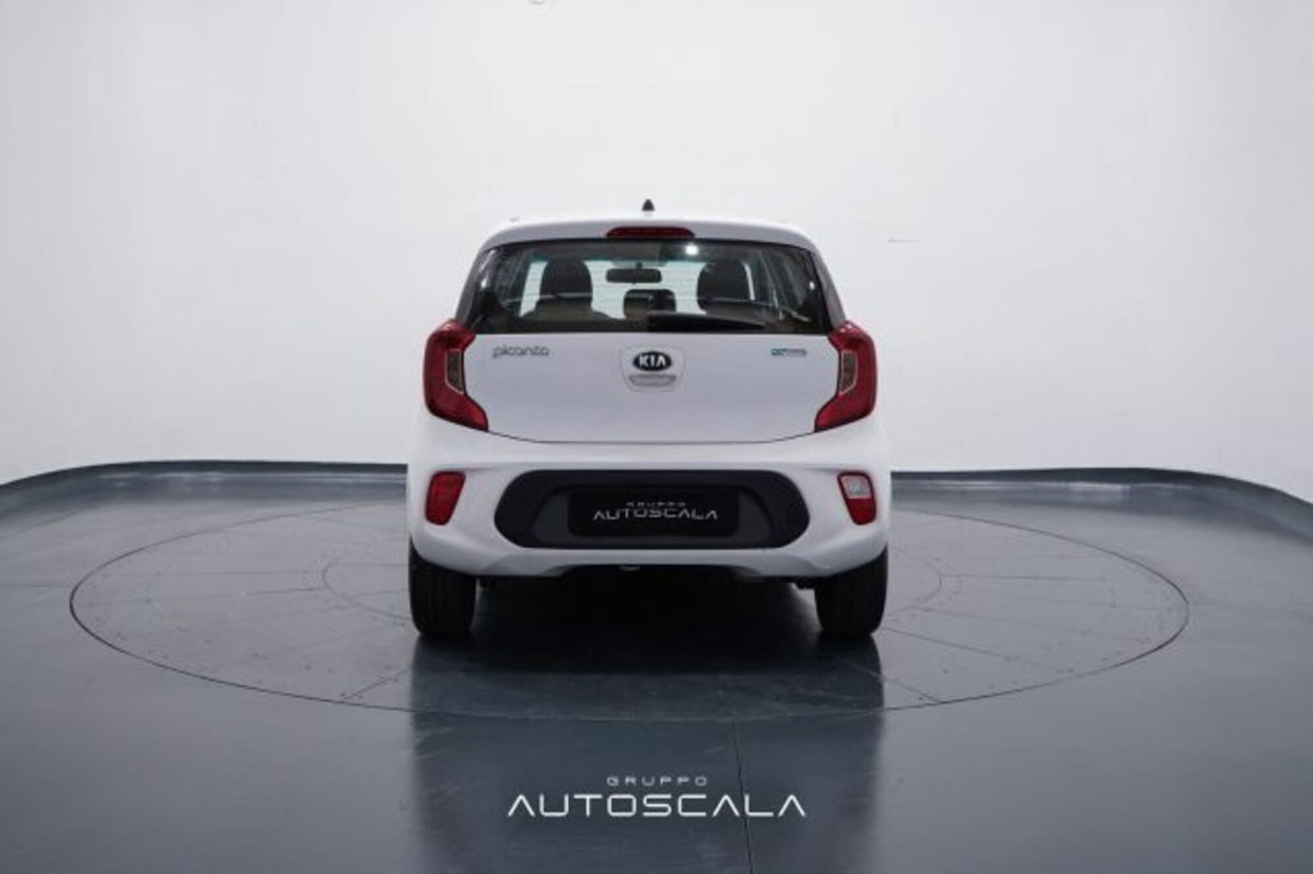 Kia Picanto 1.0 12V 5 porte Active (5)