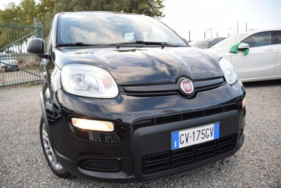 Fiat Panda 1.0 firefly hybrid Pop s&s 70cv usata