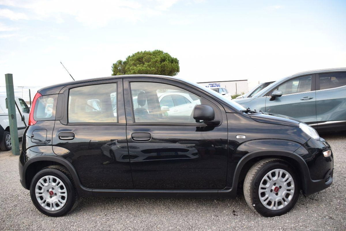 Fiat Panda 1.0 firefly hybrid Pop s&s 70cv (10)
