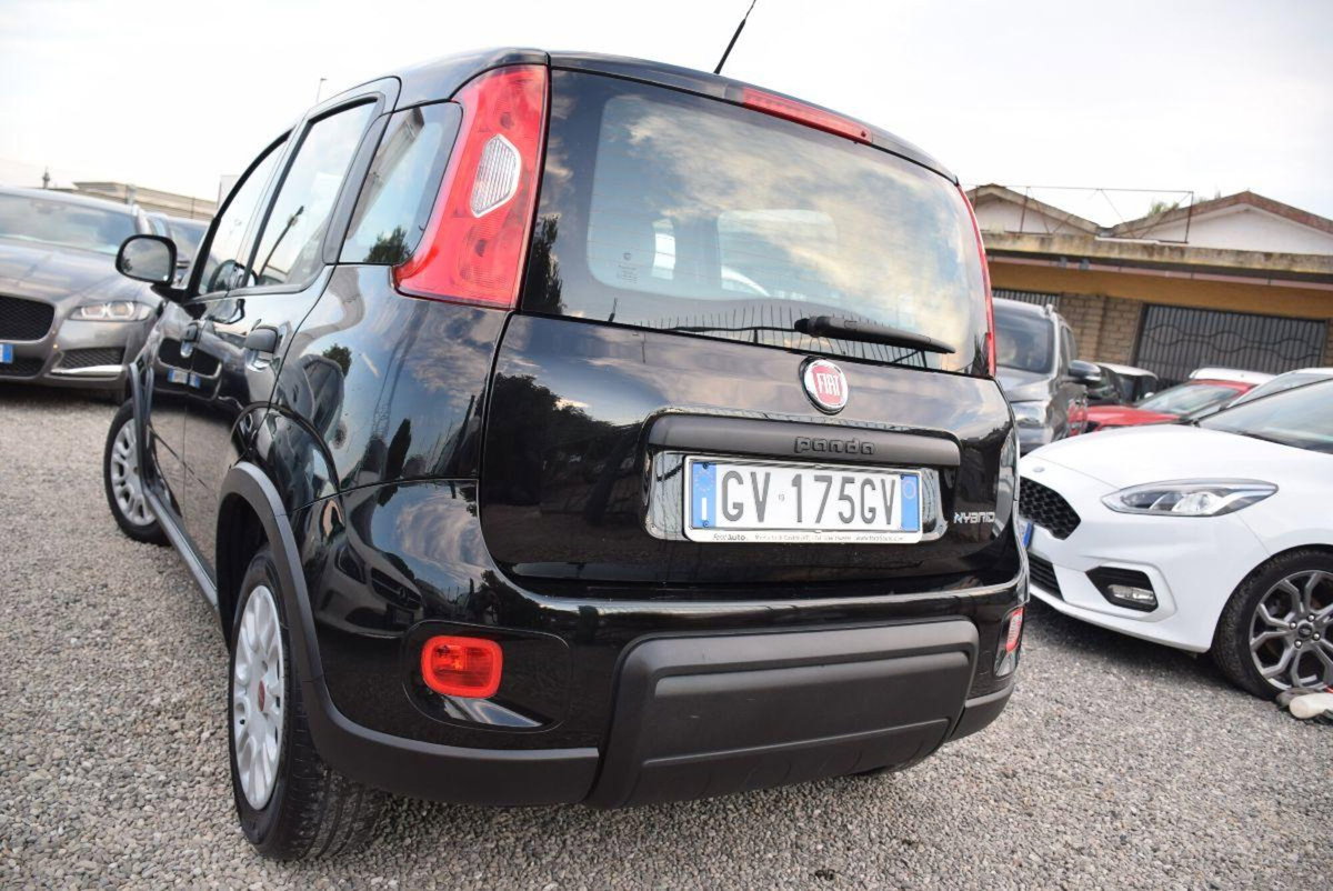 Fiat Panda 1.0 firefly hybrid Pop s&s 70cv (12)