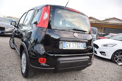 Fiat Panda 1.0 firefly hybrid Pop s&s 70cv (12)