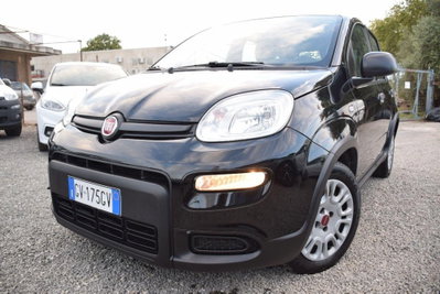 Fiat Panda 1.0 firefly hybrid Pop s&s 70cv (15)