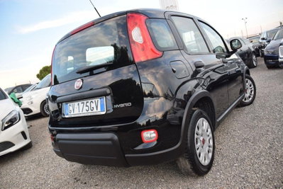 Fiat Panda 1.0 firefly hybrid Pop s&s 70cv (17)