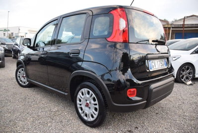 Fiat Panda 1.0 firefly hybrid Pop s&s 70cv (3)