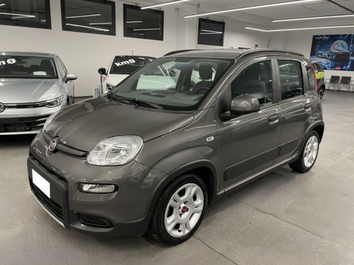 Fiat Panda 1.0 firefly hybrid s&s 70cv 5p.ti (11)