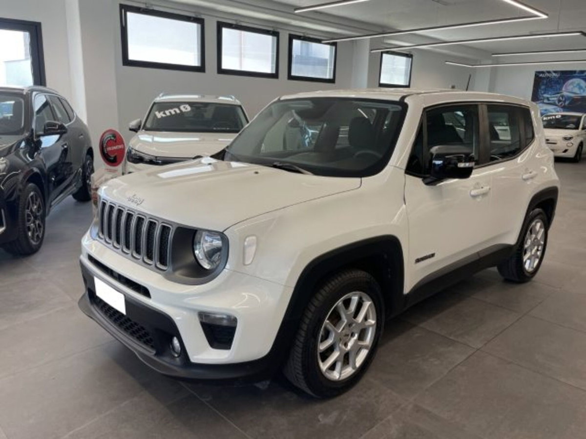 Jeep Renegade 1.6 Mjt 130 CV Limited (12)