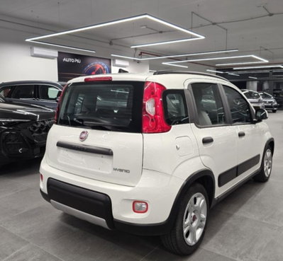 Fiat Panda 1.0 firefly hybrid s&s 70cv 5p.ti (2)