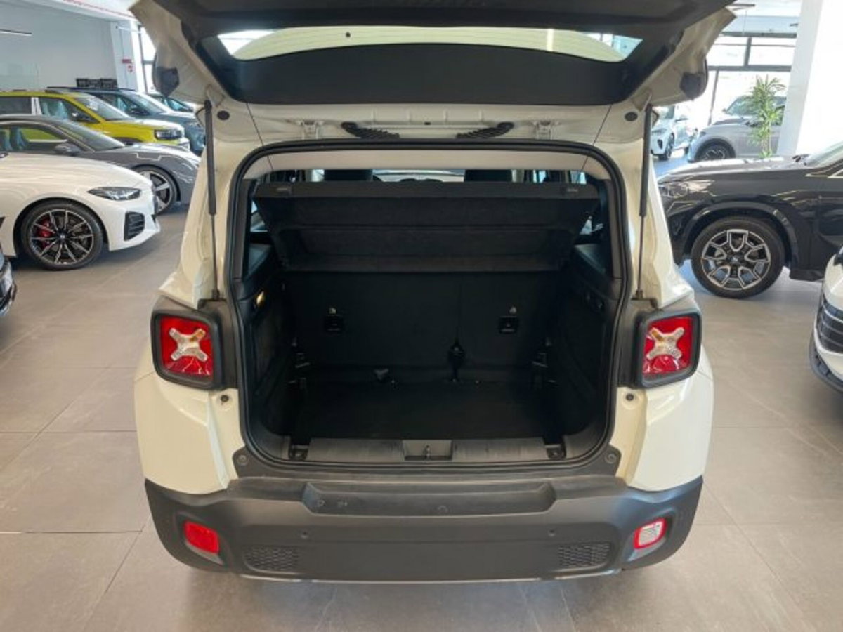 Jeep Renegade 1.6 Mjt 130 CV Limited (11)