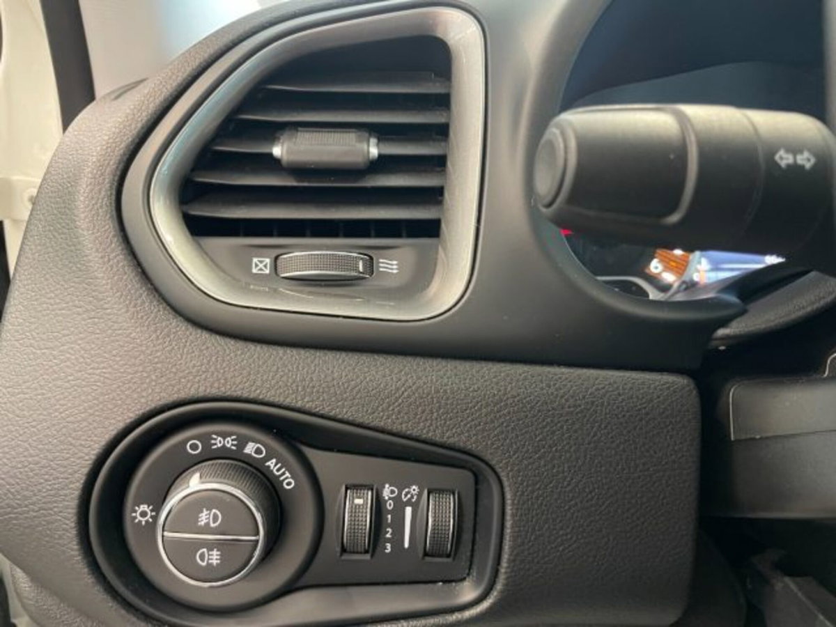 Jeep Renegade 1.6 Mjt 130 CV Limited (6)